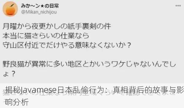 揭秘Javamese日本乱偷行为：真相背后的故事与影响分析