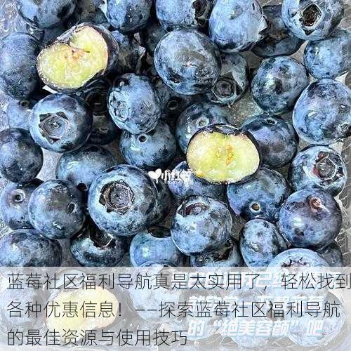 蓝莓社区福利导航真是太实用了，轻松找到各种优惠信息！——探索蓝莓社区福利导航的最佳资源与使用技巧