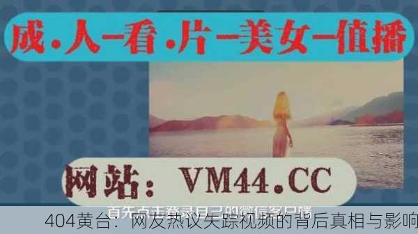 404黄台：网友热议失踪视频的背后真相与影响