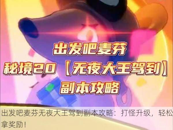 出发吧麦芬无夜大王驾到副本攻略：打怪升级，轻松拿奖励！