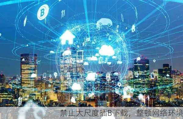 禁止大尺度插B下载，整顿网络环境
