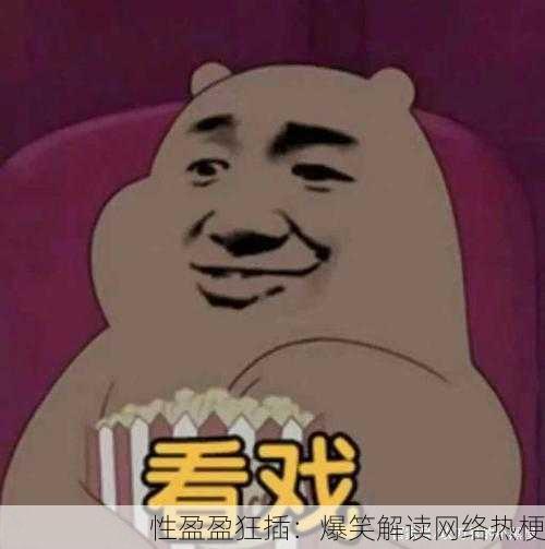 性盈盈狂插：爆笑解读网络热梗