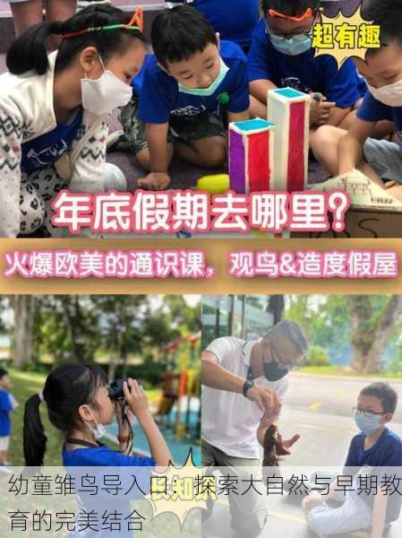 幼童雏鸟导入口：探索大自然与早期教育的完美结合