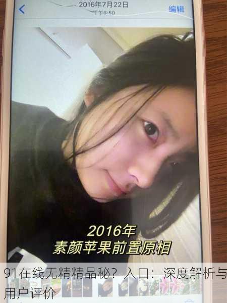 91在线无精精品秘？入口：深度解析与用户评价