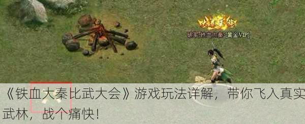 《铁血大秦比武大会》游戏玩法详解，带你飞入真实武林，战个痛快！