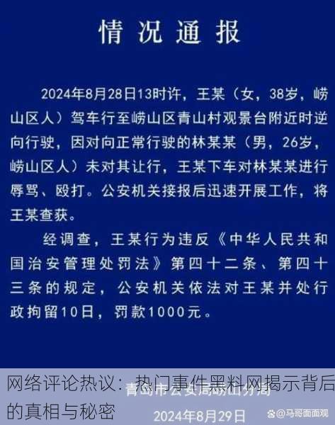 网络评论热议：热门事件黑料网揭示背后的真相与秘密