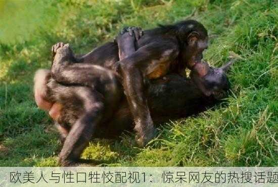欧美人与性口牲恔配视1：惊呆网友的热搜话题