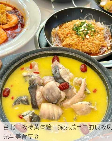 台北一级特黄体验：探索城市中的顶级风光与美食享受