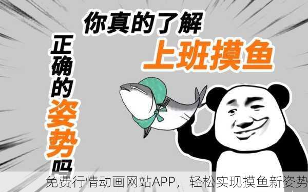 免费行情动画网站APP，轻松实现摸鱼新姿势