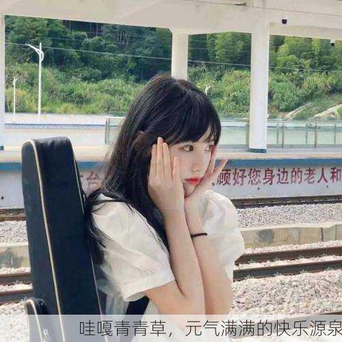 哇嘎青青草，元气满满的快乐源泉