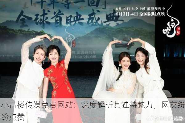 小青楼传媒免费网站：深度解析其独特魅力，网友纷纷点赞