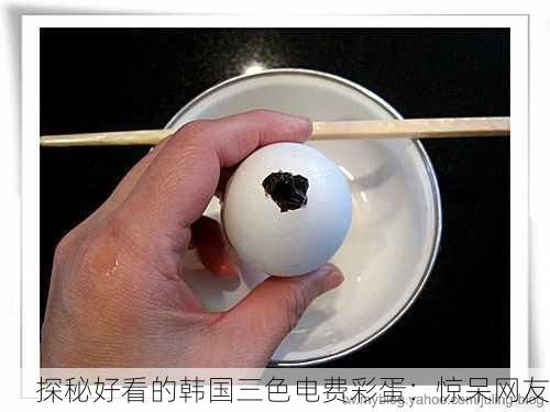 探秘好看的韩国三色电费彩蛋：惊呆网友