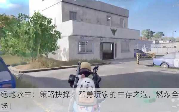 绝地求生：策略抉择，智勇玩家的生存之选，燃爆全场！