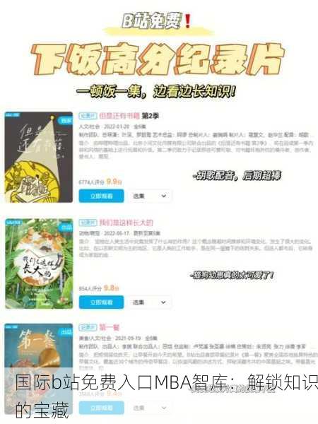 国际b站免费入口MBA智库：解锁知识的宝藏