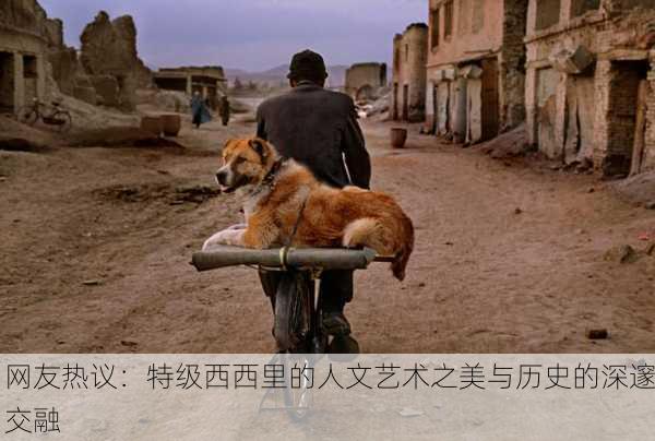 网友热议：特级西西里的人文艺术之美与历史的深邃交融