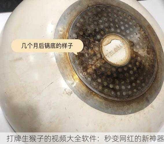 打牌生猴子的视频大全软件：秒变网红的新神器