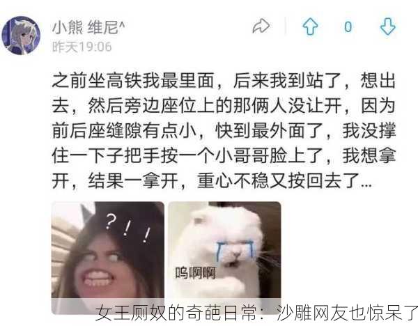 女王厕奴的奇葩日常：沙雕网友也惊呆了