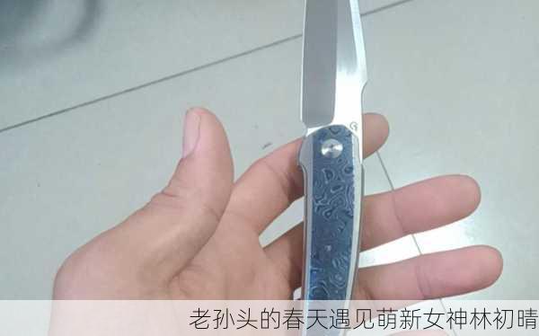 老孙头的春天遇见萌新女神林初晴