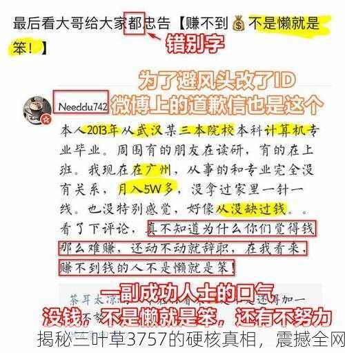 揭秘三叶草3757的硬核真相，震撼全网