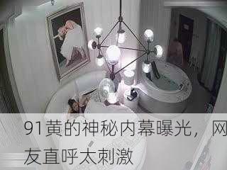 91黄的神秘内幕曝光，网友直呼太刺激