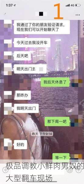 极品调教小鲜肉男奴的大型翻车现场