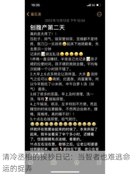 清冷丞相的挨抄日记：当智者也难逃命运的捉弄