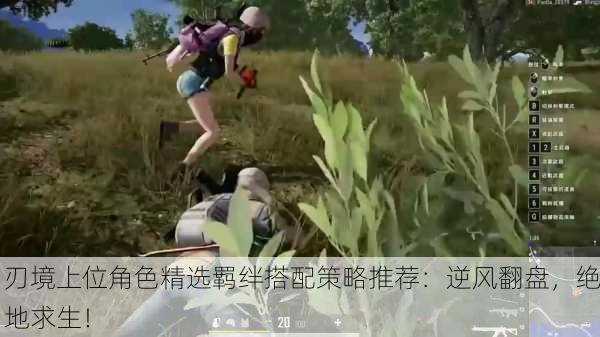 刃境上位角色精选羁绊搭配策略推荐：逆风翻盘，绝地求生！