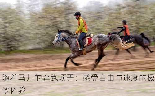 随着马儿的奔跑项弄：感受自由与速度的极致体验