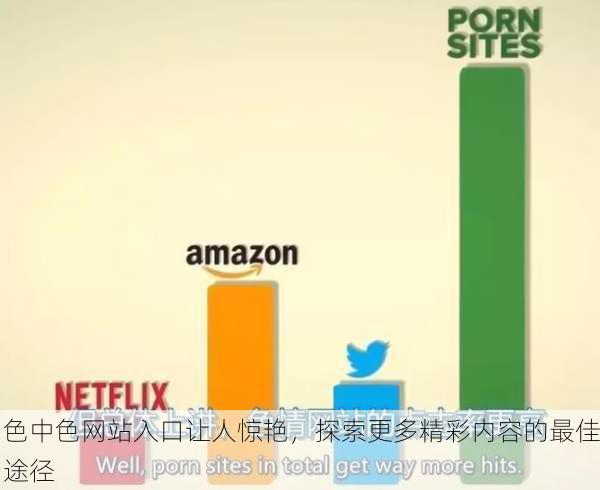 色中色网站入口让人惊艳，探索更多精彩内容的最佳途径