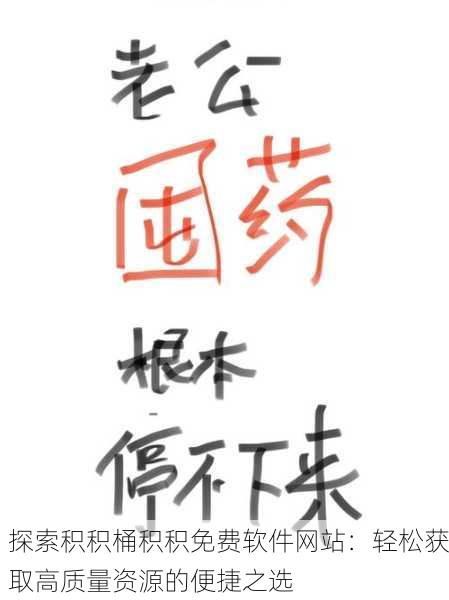 探索积积桶积积免费软件网站：轻松获取高质量资源的便捷之选