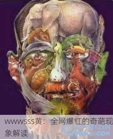 wwwsss黄：全网爆红的奇葩现象解读