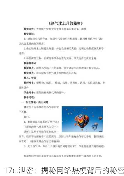 17c.泄密：揭秘网络热梗背后的秘密