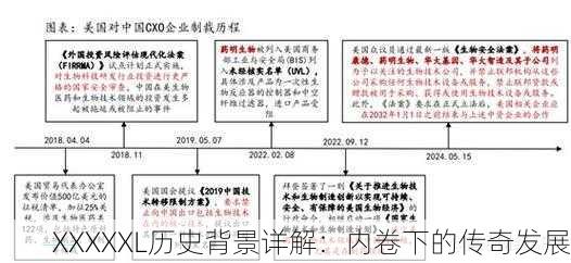 XXXXXL历史背景详解：内卷下的传奇发展