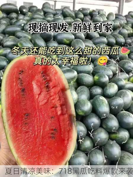 夏日清凉美味：718黑瓜吃料爆款来袭