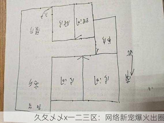 久夂乄乄x一二三区：网络新宠爆火出圈