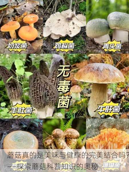 蘑菇真的是美味与健康的完美结合吗？——探索蘑菇科普知识的奥秘