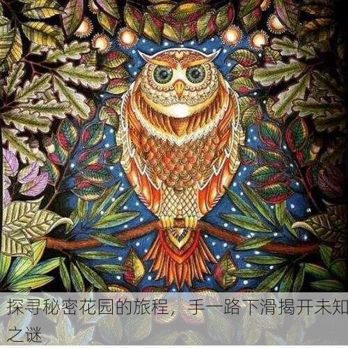 探寻秘密花园的旅程，手一路下滑揭开未知之谜