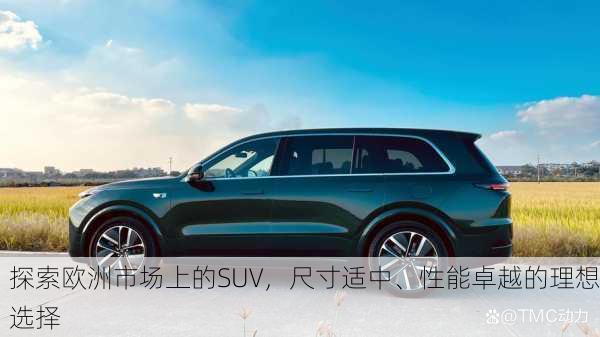 探索欧洲市场上的SUV，尺寸适中、性能卓越的理想选择