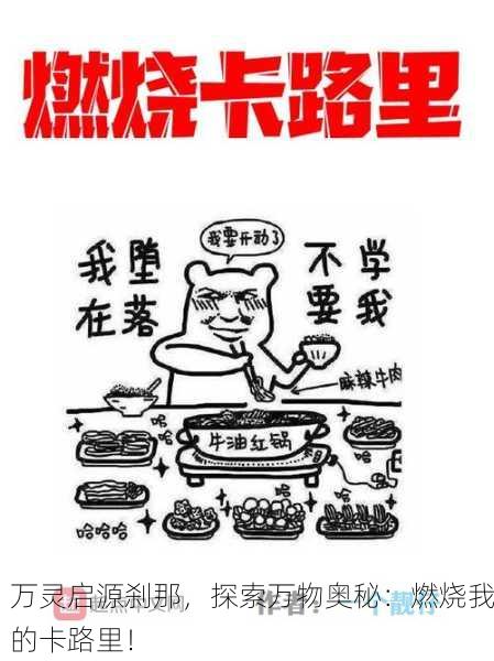 万灵启源刹那，探索万物奥秘：燃烧我的卡路里！