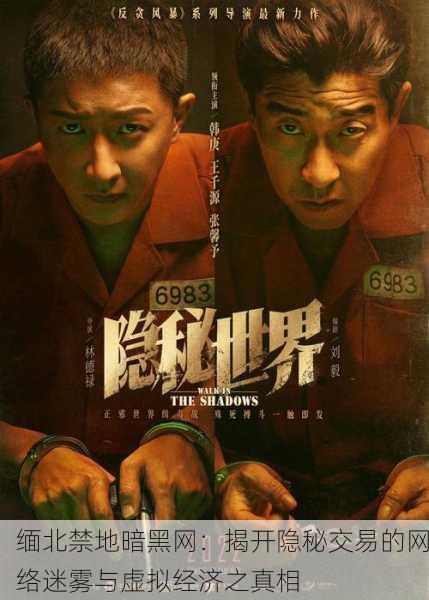 缅北禁地暗黑网：揭开隐秘交易的网络迷雾与虚拟经济之真相