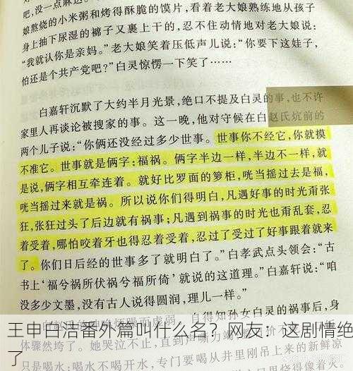 王申白洁番外篇叫什么名？网友：这剧情绝了
