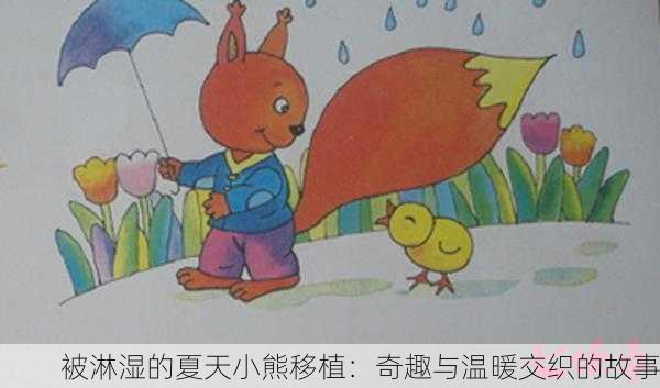 被淋湿的夏天小熊移植：奇趣与温暖交织的故事