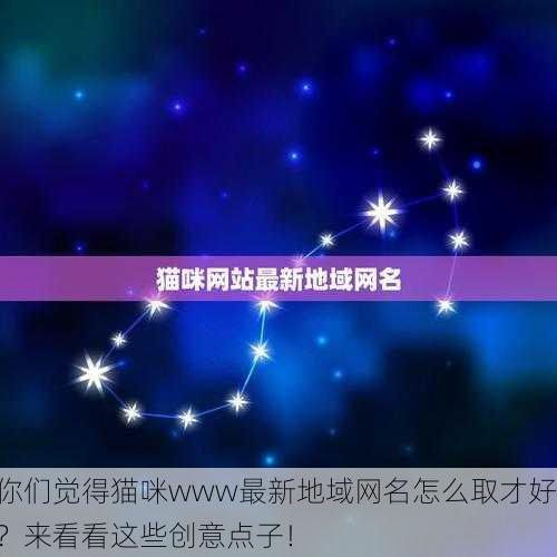 你们觉得猫咪www最新地域网名怎么取才好？来看看这些创意点子！