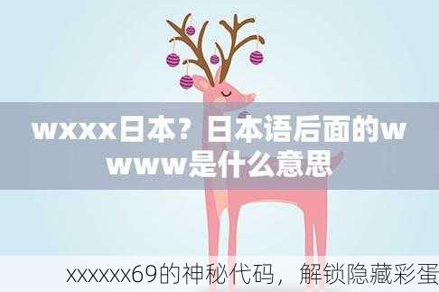 xxxxxx69的神秘代码，解锁隐藏彩蛋