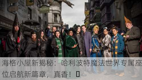 海格小屋新揭秘：哈利波特魔法世界专属座位启航新篇章，真香！✨