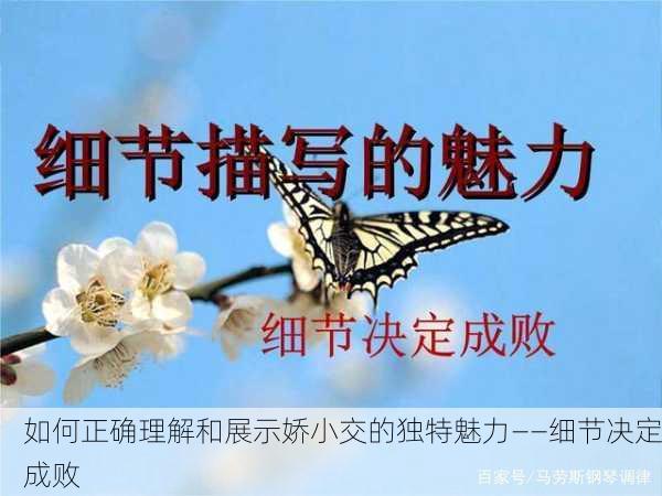 如何正确理解和展示娇小交的独特魅力——细节决定成败