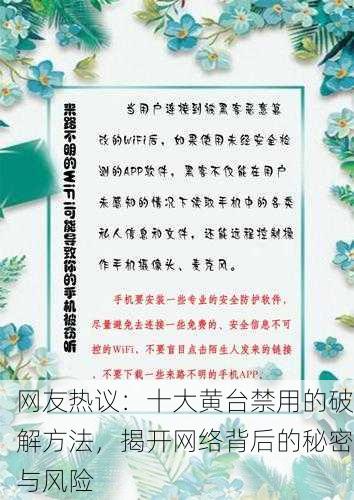 网友热议：十大黄台禁用的破解方法，揭开网络背后的秘密与风险