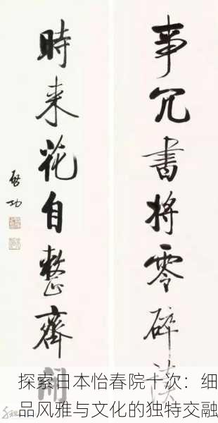 探索日本怡春院十次：细品风雅与文化的独特交融