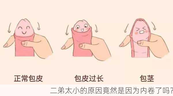 二弟太小的原因竟然是因为内卷了吗？