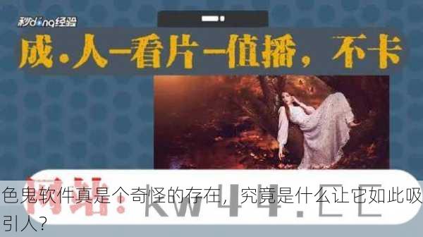 色鬼软件真是个奇怪的存在，究竟是什么让它如此吸引人？